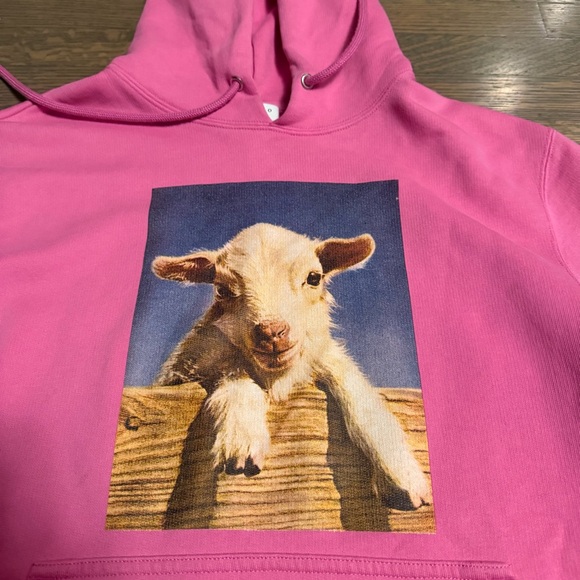 Sandro Paris Men's Pink Hoodie with Lamb Graphic - Size M - EUC (Rare) - Picture 6 of 11